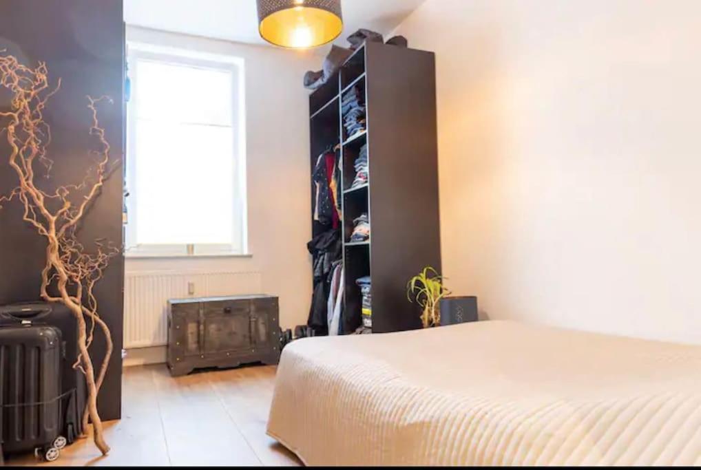 Design Apartment Im Zentrum Von Nienburg! Нинбург Экстерьер фото